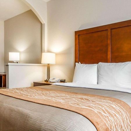 Comfort Inn & Suites Oakland Airport Buitenkant foto