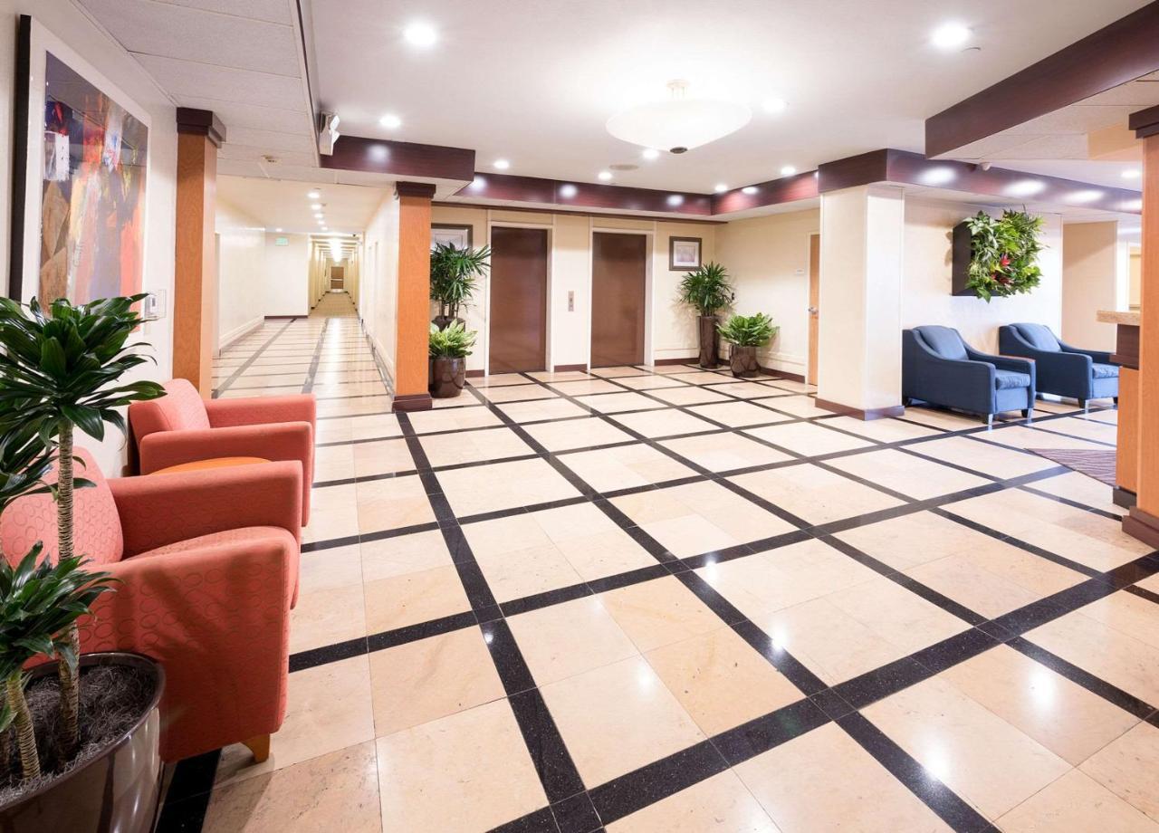 Comfort Inn & Suites Oakland Airport Buitenkant foto